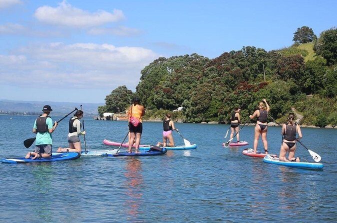 Stand Up Paddle Board Adventure in Mount Maunganui - FAQ