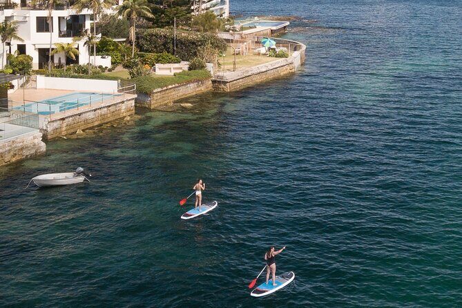 Stand Up Paddle Board Hire - 2 Hours - What to Expect from Your SUP Experience