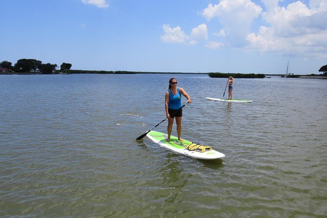 Stand Up Paddle Board Rental in Rose Bay - An Honest Look at the Rose Bay Stand-Up Paddleboard Rental Experience