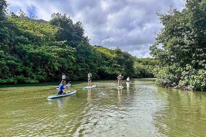 Stand Up Paddle Boarding Adventure in Windward Oahu - A Close Look at the Paddleboarding Experience