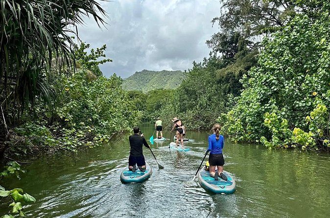Stand Up Paddle Boarding Adventure in Windward Oahu - Who Would Love This Tour?