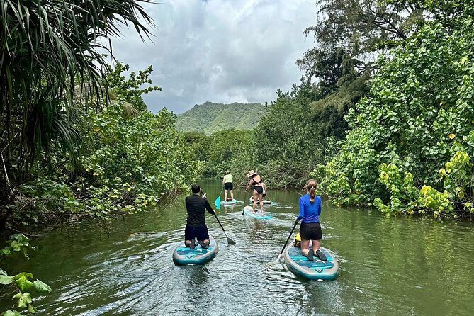 Stand Up Paddle Boarding Adventure in Windward Oahu - Final Thoughts