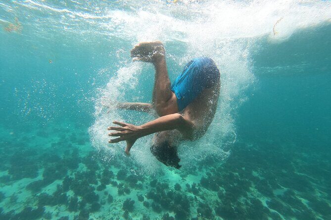 Stand-Up Paddle boarding in Tulum with Snorkeling 1hr - The Sum Up