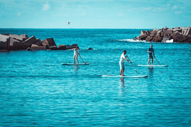 Stand Up Paddle Private Lesson in Calheta Beach - FAQ