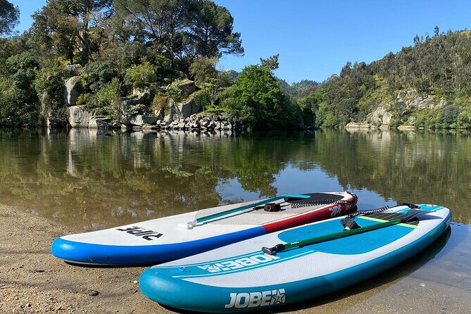 Stand-up-Paddle tour in Paiva river - The Perfect Audience for This Tour