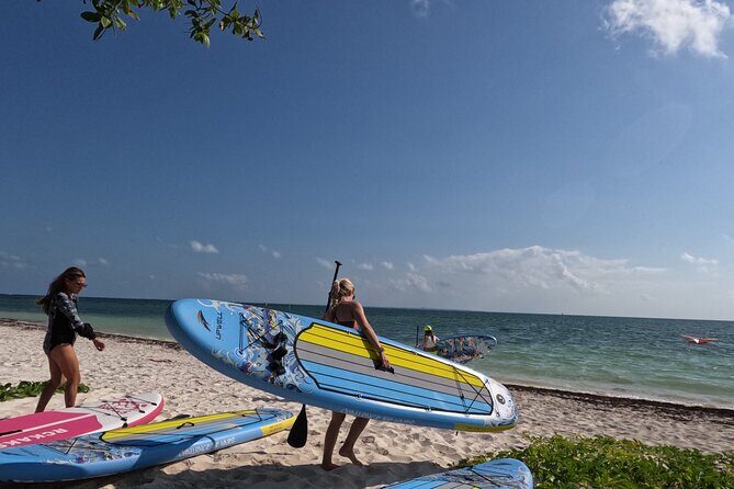 Stand Up Paddle Yoga Experience in Cancun - Authentic Feedback and What It Tells Us