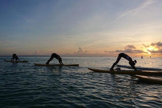Stand Up Paddle Yoga Experience in Cancun - Who Will Love This Experience?