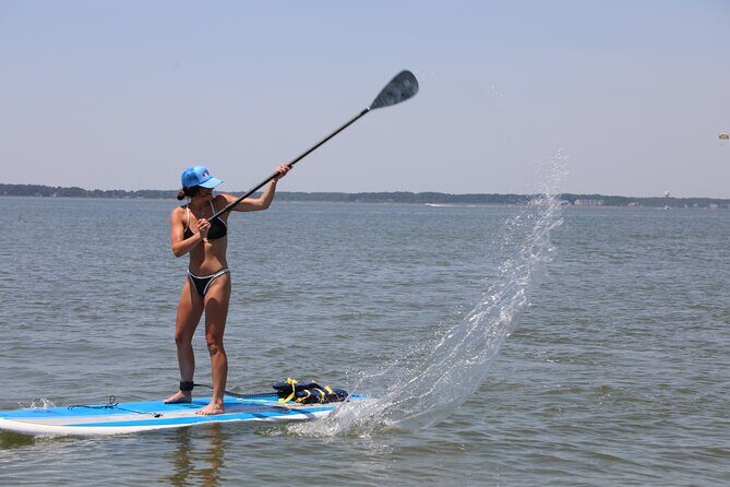 Stand Up Paddleboard Rentals in Ocean City, MD - An In-Depth Look at the Paddleboard Experience