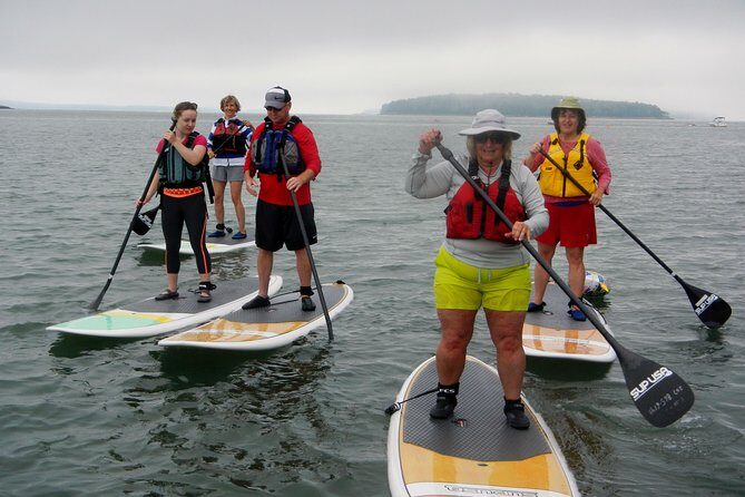 Stand Up Paddleboard Tour with Complimentary Oyster Tasting - Exploring Portland’s Casco Bay by Paddleboard