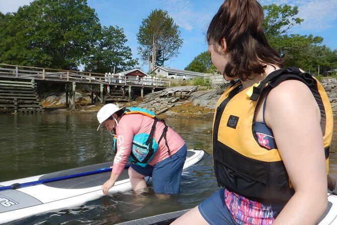 Stand Up Paddleboard Tour with Complimentary Oyster Tasting - The Sum Up