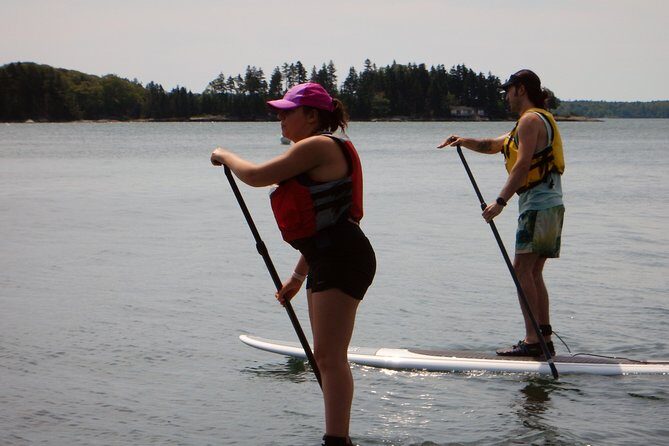 Stand Up Paddleboard Tour with Complimentary Oyster Tasting - FAQ