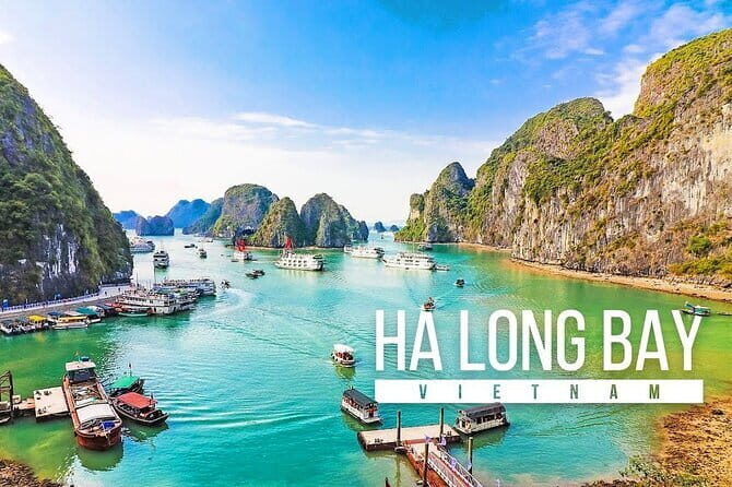 STANDARD CRUISE Halong Bay 1 Day Trip from Hanoi by Expressway - Who Will Love This Tour?