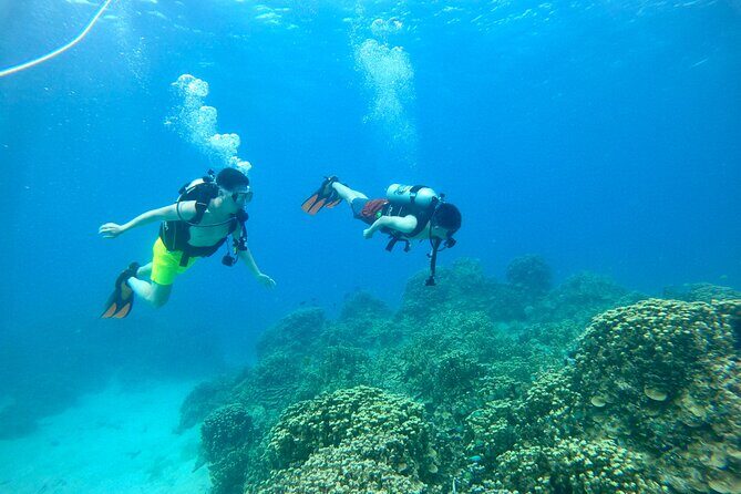 StandUp PaddleBoard Lesson and Experience Scuba Diving Package! - An Overview of What You Can Expect