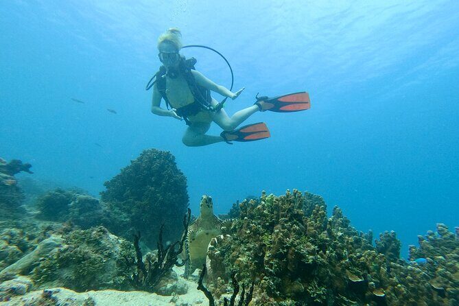 StandUp PaddleBoard Lesson and Experience Scuba Diving Package! - Detailed Breakdown of the Itinerary