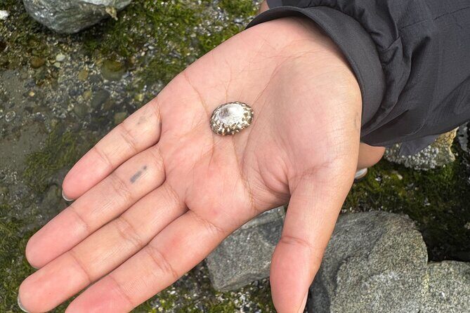 Stanley Park Indigenous Walking Tour Salish Sea and Me - Key Points