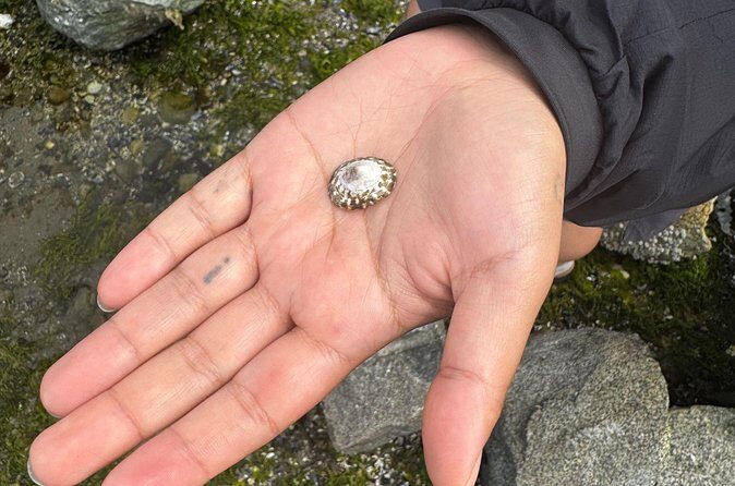 Stanley Park Indigenous Walking Tour Salish Sea and Me - FAQs