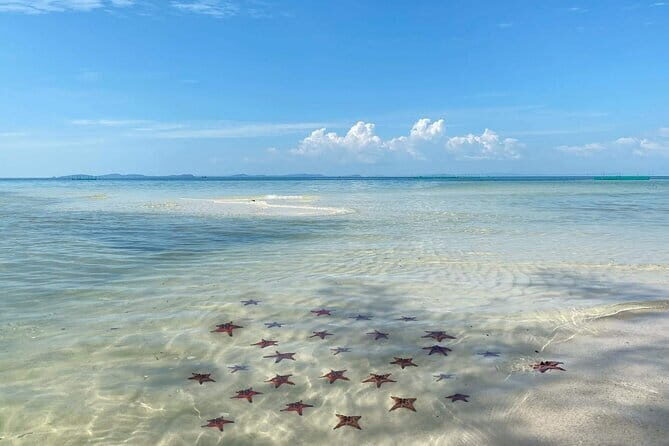 Starfish Beach Trip In Phu Quoc Island - The Sum Up