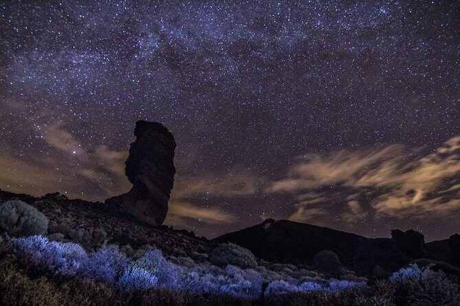 Stargazing Experience with Dinner & Drinks - Who Is This Tour Best For?