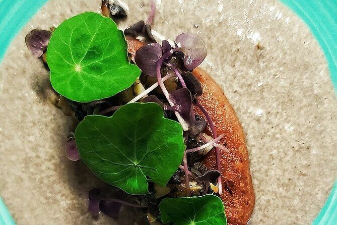 State-of-the-art Mexican cooking classes - Key Points