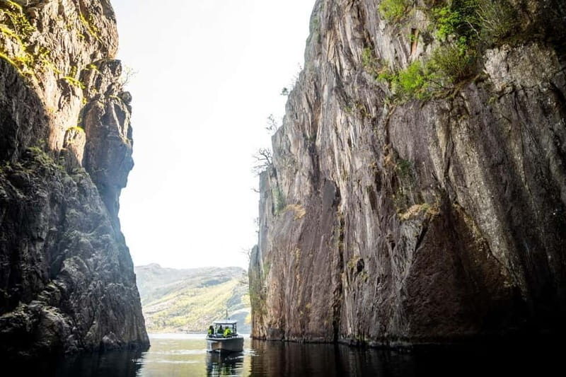 Stavanger: Guided Lysefjord Cruise to Pulpit Rock - Who Will Love This Tour?