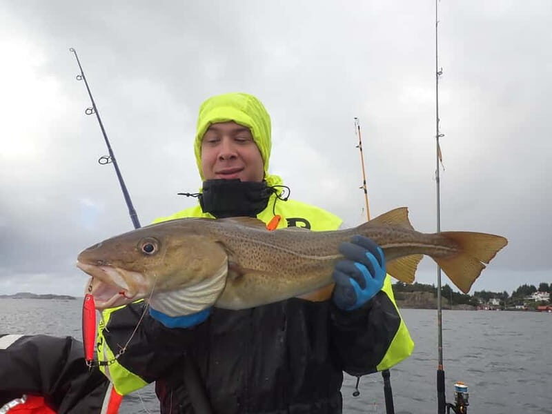 Stavanger: Lysefjord Cruise, Fishing, and Dinner Tour - Who Is This Tour Best For?