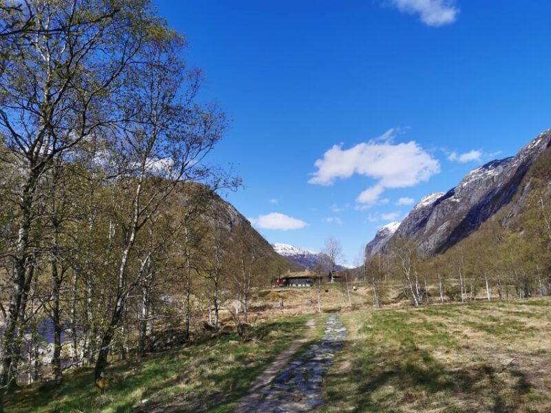 Stavanger: Månafossen photo adventure and raw nature - Exploring Norway’s Untamed Beauty: Månafossen Photo Adventure and Raw Nature