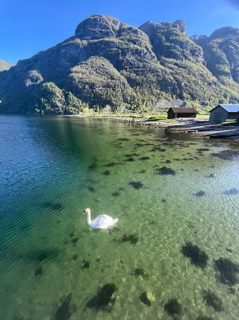 Stavanger: Månafossen Waterfall and Via Ferrata Bouldering - FAQ