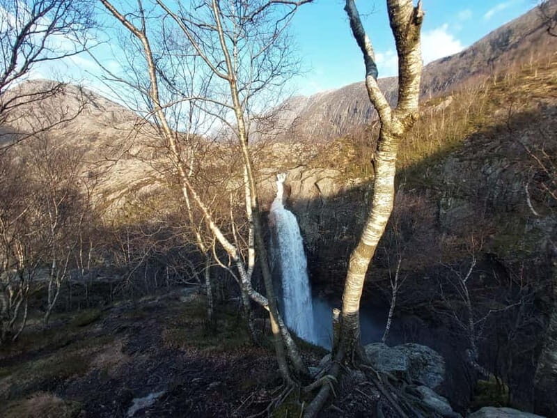 Stavanger: Månafossen Waterfall Guided Tour with Transport - An In-Depth Look at the Tour Experience