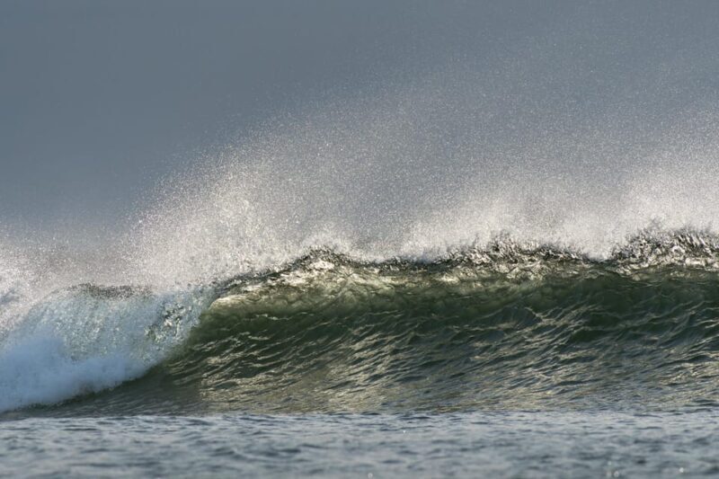 Stavanger: Preikestolen (Pulpit Rock) Hike with Local Guide - Transportation & Logistics