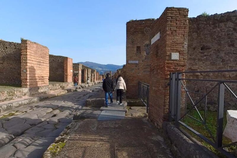 Step Back in Time: Pompeii Guided Tour with Naples Pick up - Key Points