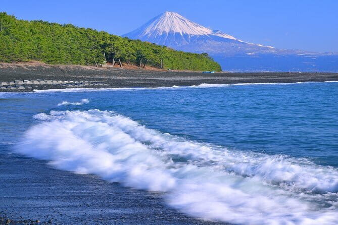 Step-Free easy going tour from Shimizu Port / Small bus - Final Thoughts
