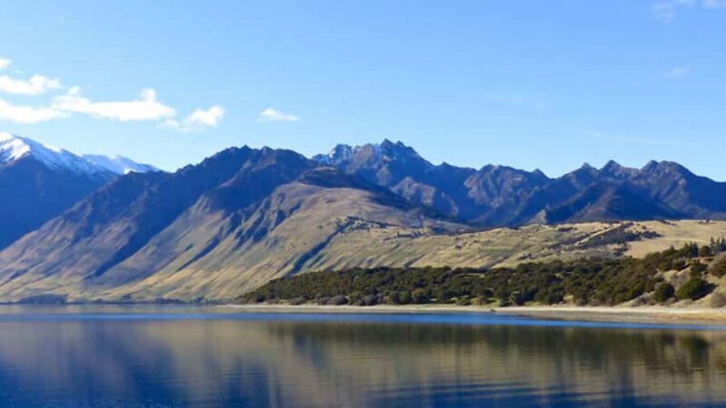 Stevensons Island 2-Hour Cruise and Nature Walk - Final Thoughts: Is It Worth It?