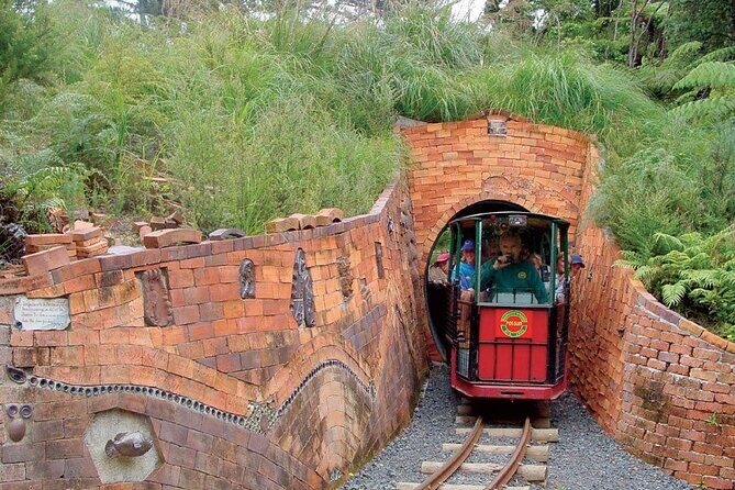 [Stevong Travel] West Coromandel Day Tour - Key Points