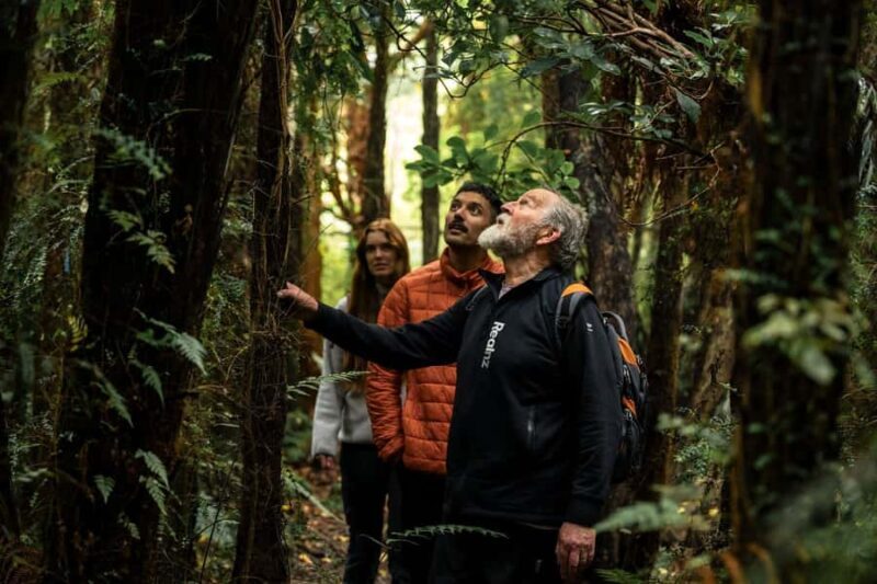 Stewart Island: Guided Wilderness Walk - A Closer Look at the Itinerary