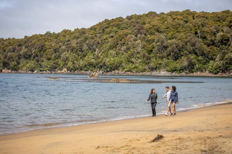 Stewart Island: Ulva Island Guided Wilderness Walk & Cruise - A Well-Rounded Nature Experience