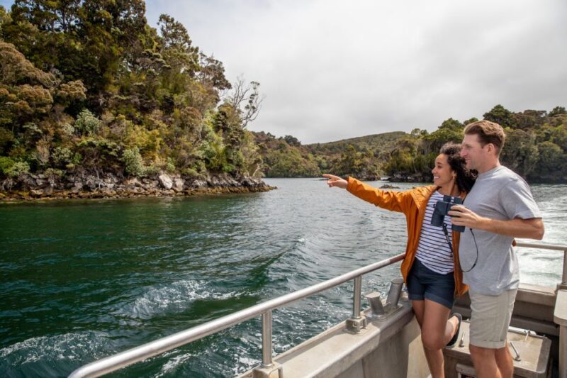 Stewart Island: Ulva Island Guided Wilderness Walk & Cruise - Who Should Consider This Tour?