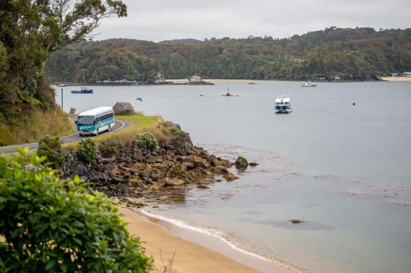 Stewart Island: Village and Bays Tour - Key Points