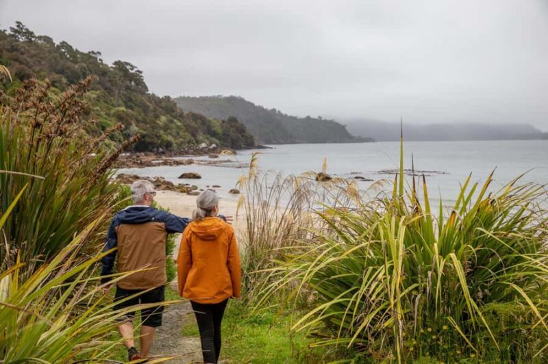 Stewart Island: Village and Bays Tour - Who Will Especially Appreciate This Tour?