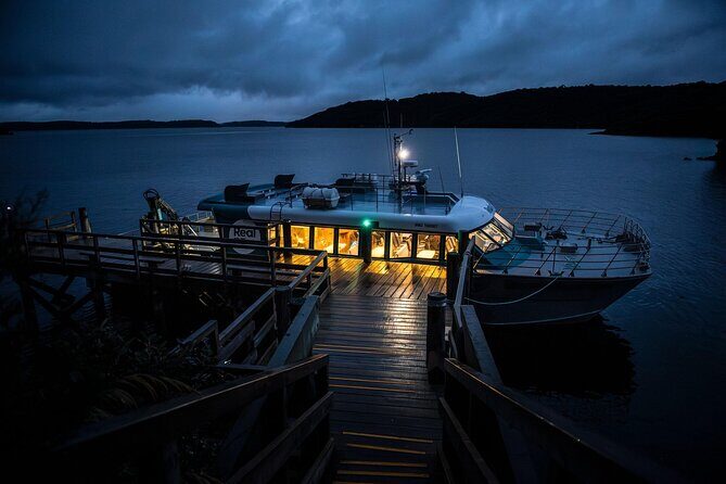 Stewart Island Wild Kiwi Experiences - Who’s This Tour Best For?