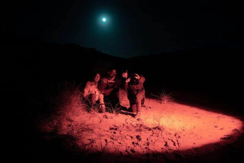 Stewart Island: Wild Kiwi Experiences - Key Points