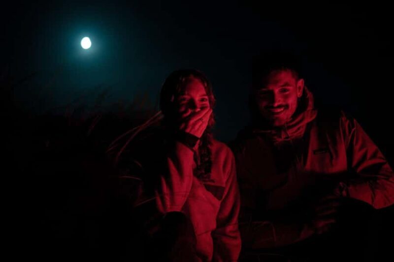 Stewart Island: Wild Kiwi Experiences - An In-Depth Look at Stewart Island’s Wild Kiwi Experiences