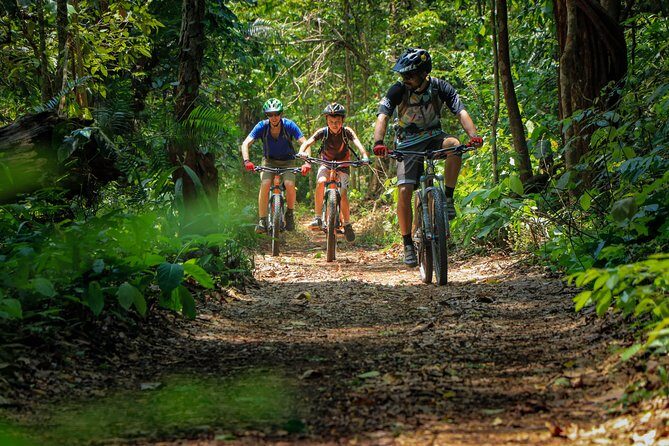 Sticky Waterfall Cycling Tour - Authentic Experiences from Past Travelers