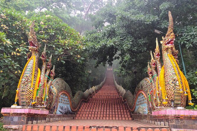 Sticky waterfalls, local market, Grand temple. Elephant Sanctuary - Key Points