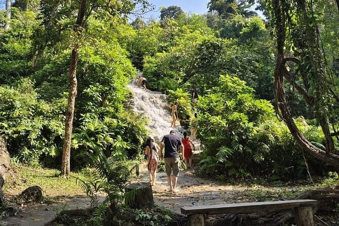 Sticky Waterfalls Private Half Day Fun Escapades - The Itinerary in Detail: What to Expect