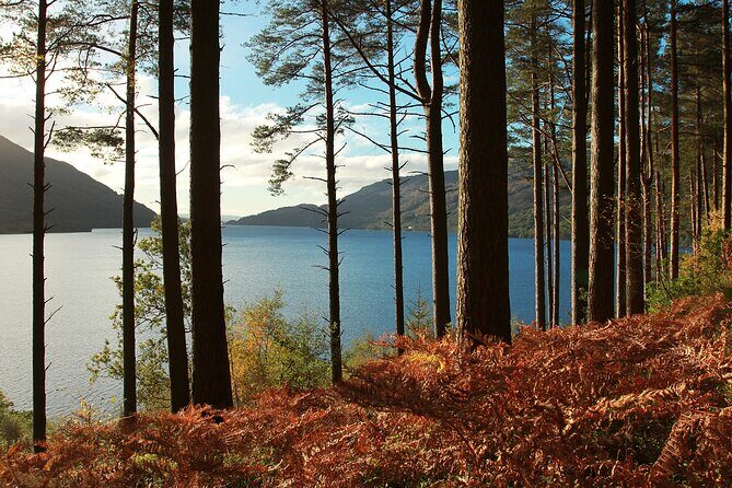 Stirling Castle, Loch Lomond and Cruise Day Tour from Glasgow - FAQ