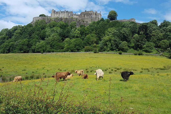 Stirling Castle, Trossachs and Loch Lomond Shore Excursion - FAQs
