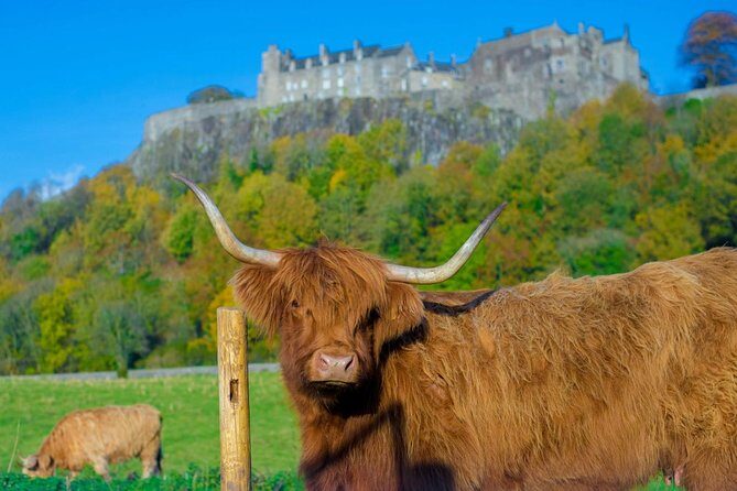 Stirling Castle,Trossachs National and Loch Lomond Day Tour from Edinburgh - The Value Proposition