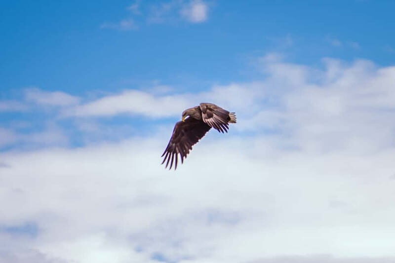 Stockholm: Archipelago Family-Friendly Private Kayaking Tour - Practical Tips for Your Paddling Adventure