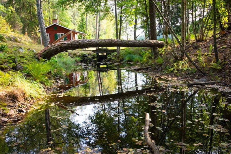 Stockholm: Canoe and Kayak Rental in Sörmland - An In-Depth Look at the Sörmland Paddling Tour