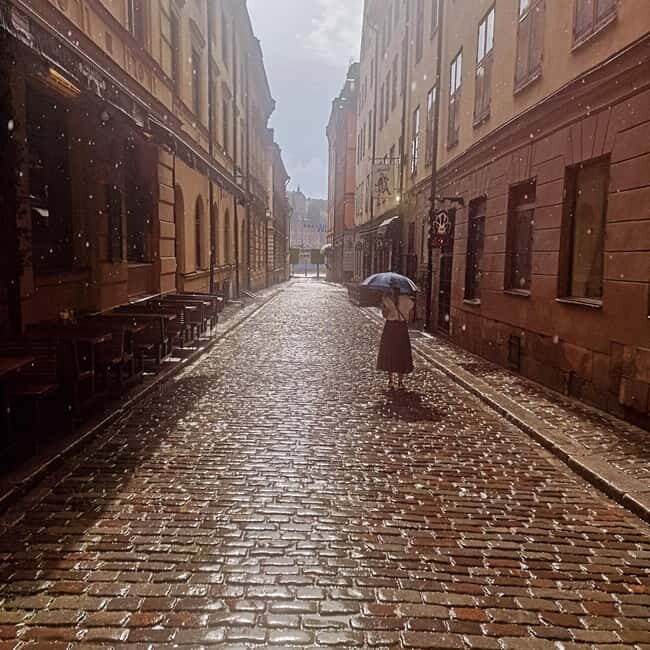 Stockholm City: Visit Icebar and Vasamuseum - The Icebar Experience